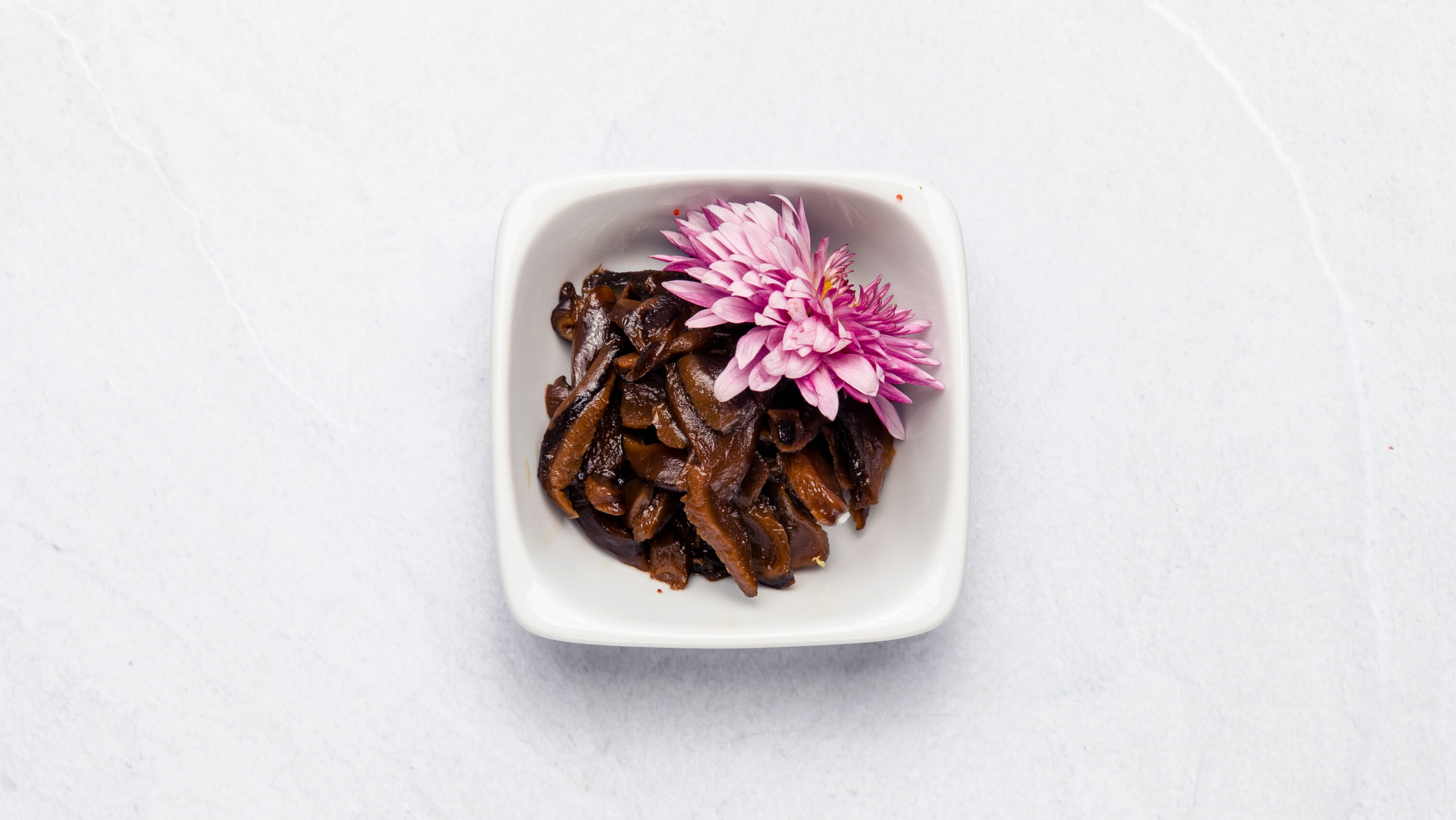 Shiitake svamp